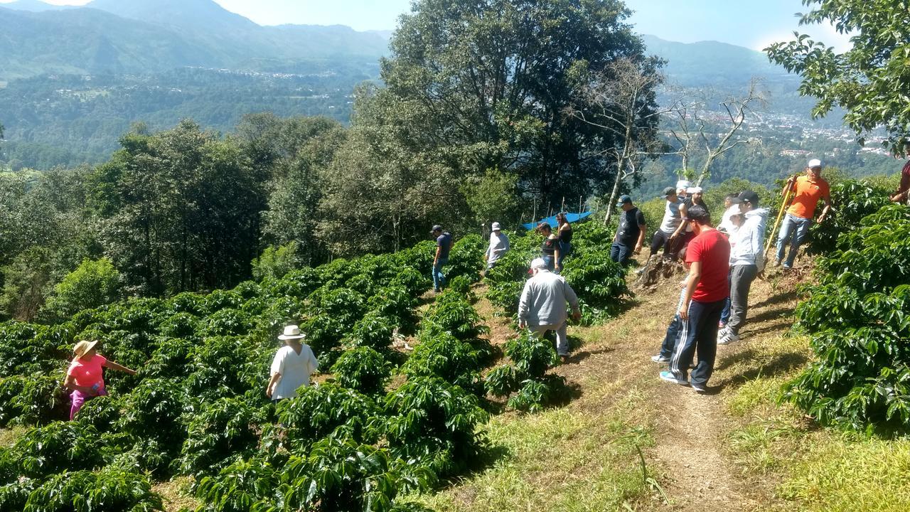 Cabanas Buenavista Huauchinango Zewnętrze zdjęcie